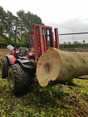 Image 4 for 247 Tree Surgery Limited t/a Kingdom Sawmill Co