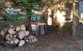 Image 5 for 247 Tree Surgery Limited t/a Kingdom Sawmill Co