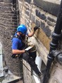 Image 12 for Vertigo Access Solutions Ltd
