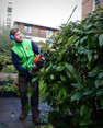 Image 3 for JDS Gardening Limited