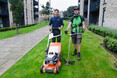 Image 2 for JDS Gardening Limited