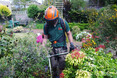 Image 1 for JDS Gardening Limited