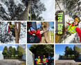 Image 11 for HiSolution Rope Access Edinburgh Ltd