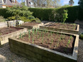 Image 6 for Nicholas Hill Gardening