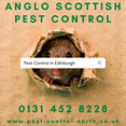Image 1 for Anglo Scottish Pest Control