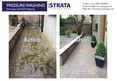 Image 2 for Strata Cleaning Ltd