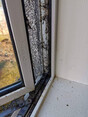 Image 3 for Clean Solutions Property Services Ltd