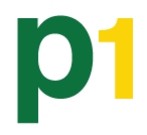 P1 Solutions Ltd