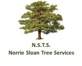 Norrie Sloan Tree Services