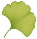 Ogilvie Hayes Tree and Garden Services