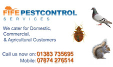 Fife Pest Control Services