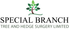 Special Branch Tree & Hedge Surgery Ltd
