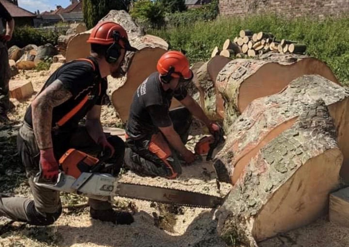 Two Arb-Tech Tree Surgery operatives in full protective equipment sectioning a large felled trunk with chainsaws