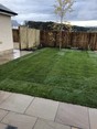 Review Image 1 for Mitchell Landscaping and Ground Care Limited