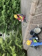 Review Image 2 for HiSolution Rope Access Edinburgh Ltd by Eleanor