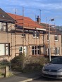 Review Image 2 for Itsmyroof Limited by Rebecca Brown