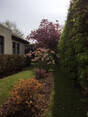 Review Image 1 for JDS Gardening Ltd