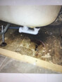 Review Image 2 for Evolve Plumbing & Heating Ltd by Keilha