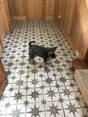 Review Image 1 for Stephen Pollard Tiling by Carol MacKintosh