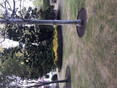 Review Image 1 for Hard Graft Garden Services
