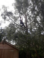 Review Image 1 for John Meikle Contractors Ltd by Alison Bakewell