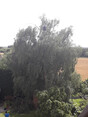 Review Image 2 for John Meikle Contractors Ltd by Alison Bakewell