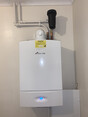 Review Image 1 for Findlay Gas Services by Stuart Duff