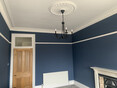 Review Image 1 for Ace Finish Decorators by HUG