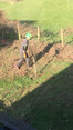 Review Image 3 for Roots Up Tree Surgery Ltd