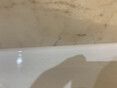 Review Image 3 for MP Property Maintenance