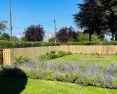 Review Image 2 for Mitchell Landscaping and Ground Care Ltd by Angela Westacott