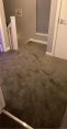 Review Image 2 for David Gordon Carpet And Vinyl Fitter by Nikki Cornet