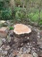 Review Image 1 for 247 Tree Surgery Ltd t/a Kingdom Sawmill Co by Emma OHara