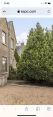 Review Image 1 for Special Branch Tree & Hedge Surgery Ltd by Ross MacCallum