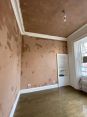 Review Image 1 for DS Plastering by Amy