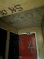 Review Image 1 for Pentland Painting & Decorating Ltd by Alison Campbell