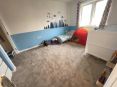 Review Image 1 for David Gordon Carpet And Vinyl Fitter by Nicola