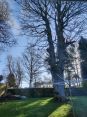 Review Image 1 for 247 Tree Surgery Limited t/a Kingdom Sawmill Co