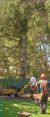 Review Image 1 for 247 Tree Surgery Limited t/a Kingdom Sawmill Co by Mark McConway