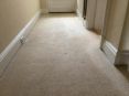 Review Image 1 for Oxy-Clean Carpet and Upholstery Cleaning by John & Catherine O’Brien