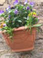 Review Image 4 for JDS Gardening Limited