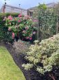 Review Image 1 for The Green Garden Company (Edinburgh) Ltd by Karen Dawson