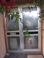 Review Image 1 for Celsius Windows Ltd by John Cory