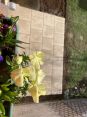 Review Image 1 for Mitchell Landscaping and Ground Care Ltd by Sheila Laing