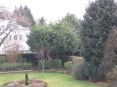 Review Image 1 for Edinburgh Gardeners Limited T/A Edinburgh Tree Surgeons