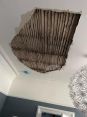 Review Image 4 for Lucy Painting and Decorating Limited by Trevor Hunter