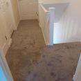 Review Image 5 for David Gordon Carpet And Vinyl Fitter by Gail Paterson