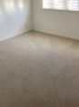 Review Image 2 for David Gordon Carpet And Vinyl Fitter by Mrs V