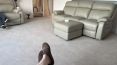 Review Image 1 for David Gordon Carpet And Vinyl Fitter by Stuart Duff