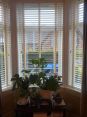Review Image 1 for Vue Window Blinds by Elle